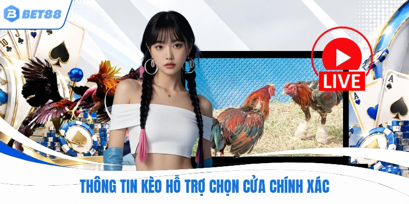 Thông tin kèo hỗ trợ chọn cửa chính xác